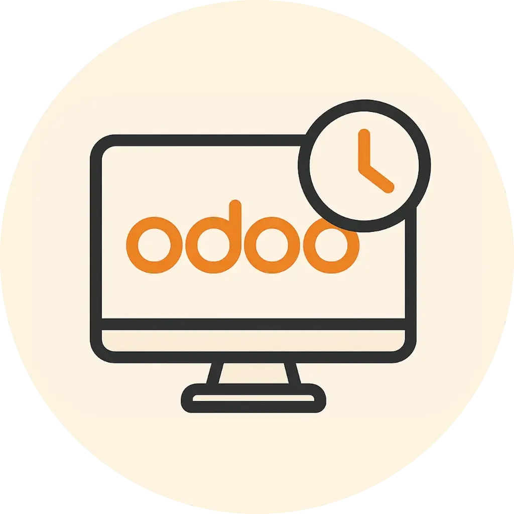 IT services (Odoo implementation) [Hours]