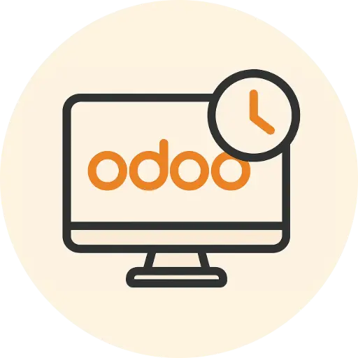 IT services (Odoo implementation)